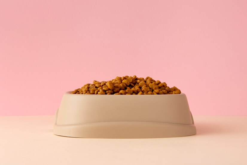 Best Dog Food For American Eskimo